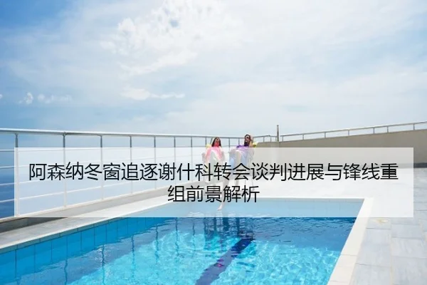 阿森纳冬窗追逐谢什科转会谈判进展与锋线重组前景解析